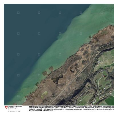 Nitella tenuissima (Desv.) Kütz., © 2022, maps.geoadmin.ch – Quelques touffes de Nitella tenuissima ont été observés en 2016 dans plusieurs stations de la Grande-Cariçaie, sur la rive sud du lac de Neuchâtel.