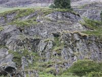 4/4 - © 2013, Patrice Prunier – III.4.1.2.4 - Artemisio campestris-Festucetum acuminatae, Zermatt CH-Vs