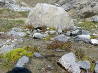 4/10 :  - © 2012, Peter Bolliger – Zermatt