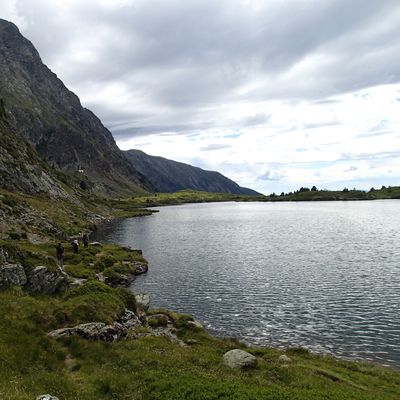 Nitella flexilis (L.) C. Agardh, © 2017, A. Boissezon – Milieu propice à Nitella flexilis : le lac Fourchu, situé dans le massif du Taillefer, à 2050 m d’altitude, sur un socle cristallin (Livet-et-Gavet, F-38).