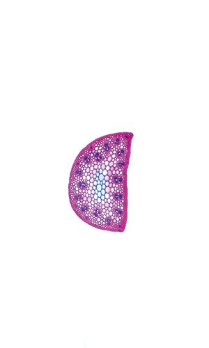 Sporobolus neglectus Nash, 17 May 2023, © 2022, Hugo Berger – Stängel, 100x